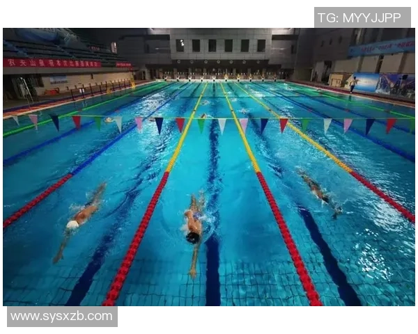 西安乒乓球队战术解析与表现评估全景分析