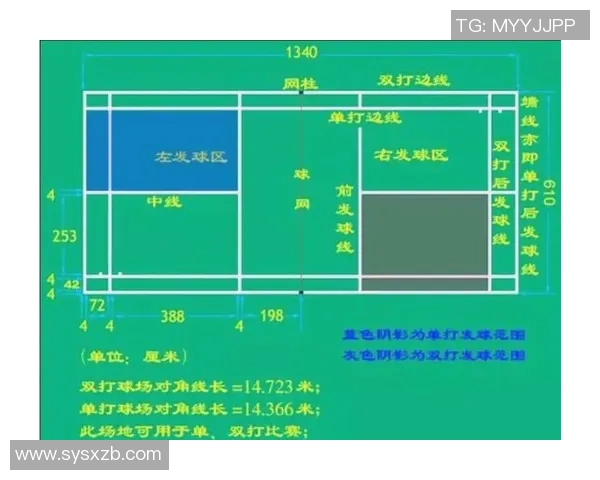 杭州羽毛球队的战术解析与转换体系探讨